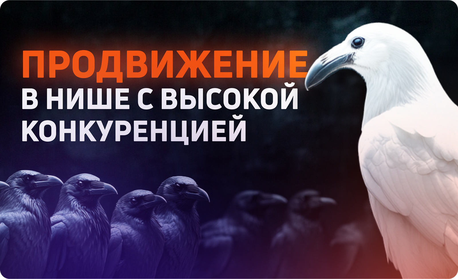 Как продвигать проект в нише с высокой конкуренцией