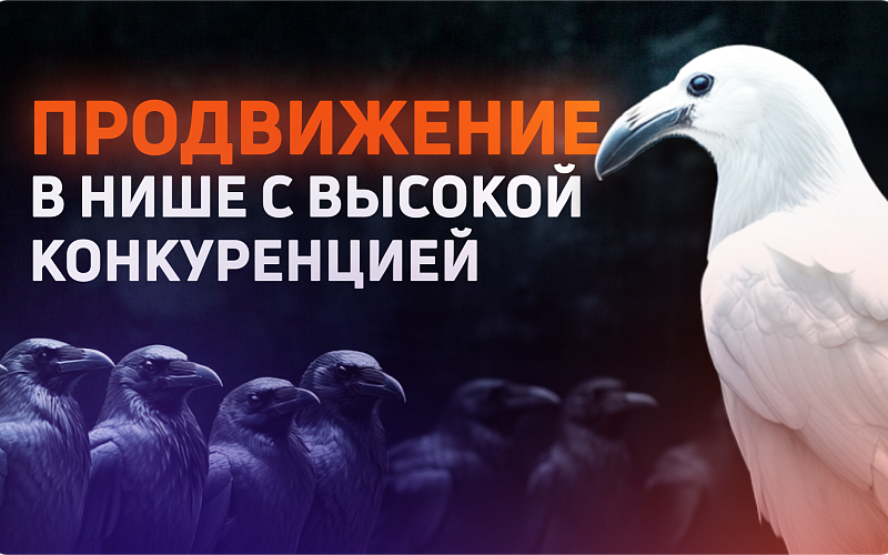 Как продвигать проект в нише с высокой конкуренцией