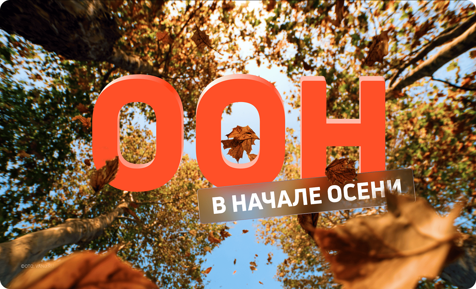 Время запускать: эффективные рекламные кампании на август-сентябрь