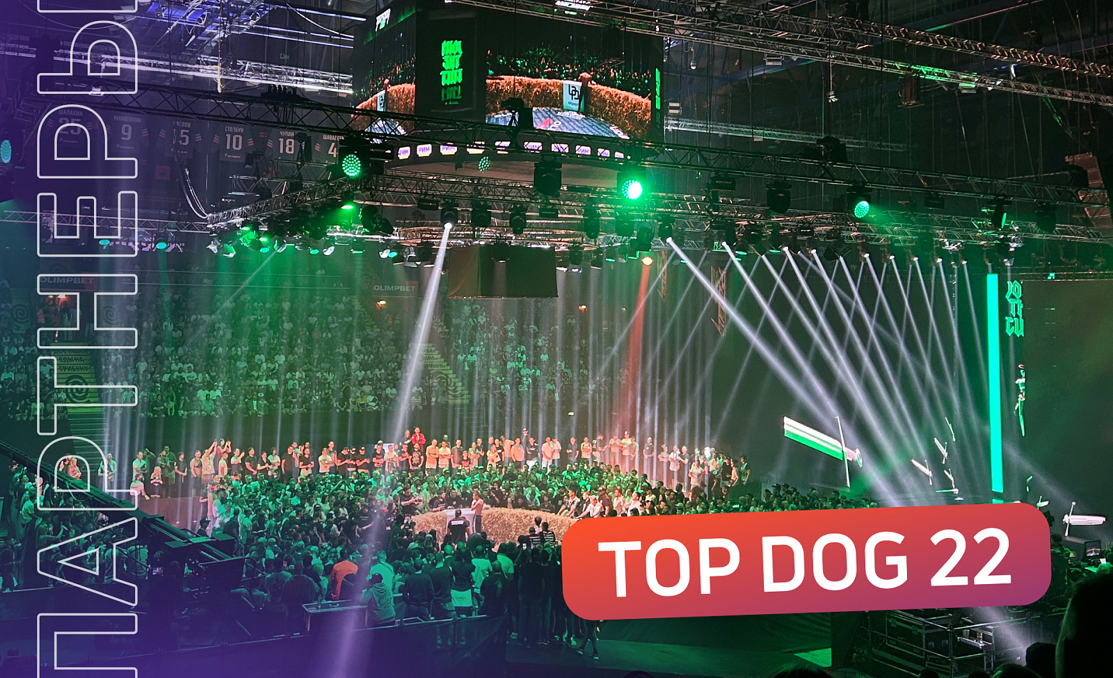 «РИМ» — партнер TOP DOG 22