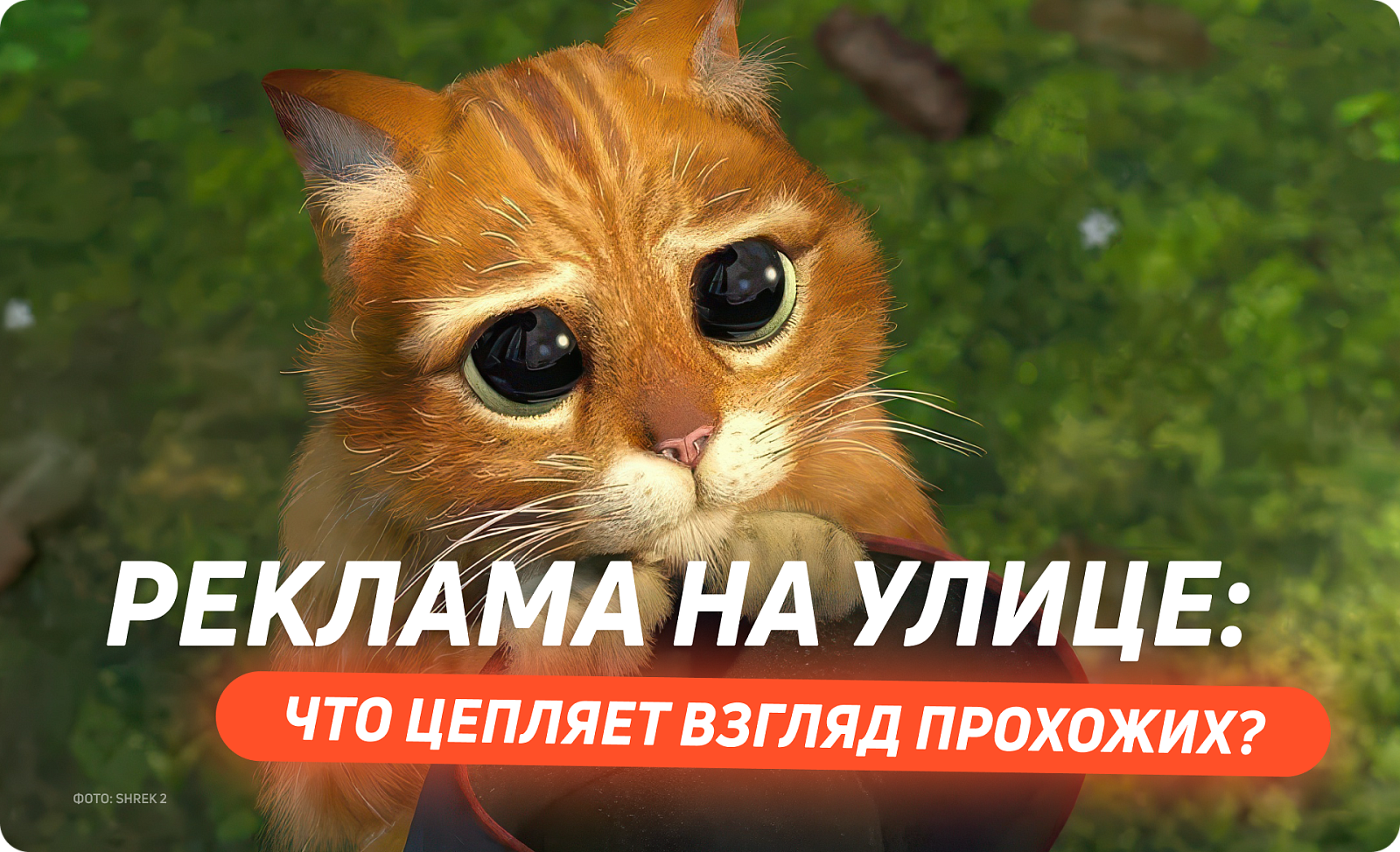 Реклама на улице: что цепляет взгляд прохожих?