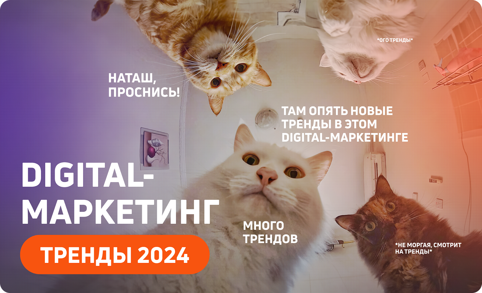 9 трендов digital-маркетинга в 2024 